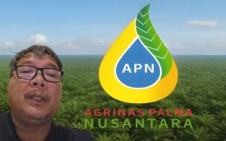 Rakyat Dipaksa Bayar Denda, Negara Kelola Sawitnya: Kritik Pedas untuk PT Agrinas Palma Nusantara